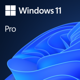 Microsoft Windows 11 Pro for Workstations SB 64bit dt Vv